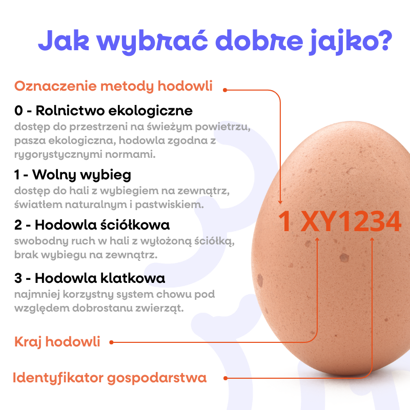 (Polština) - 2025-04-18T100823.599